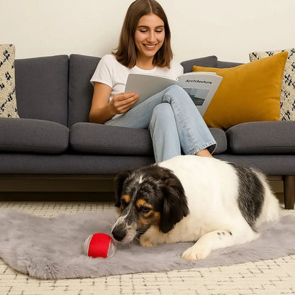 Midora™ Smart Interactive Dog Toy
