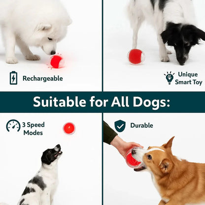 Midora™ Smart Interactive Dog Toy